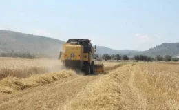 Tarımsal destekleme ödemeleri çiftçilerin hesaplarına aktarılıyor