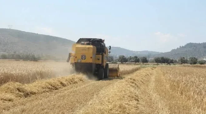 Tarımsal destekleme ödemeleri çiftçilerin hesaplarına aktarılıyor